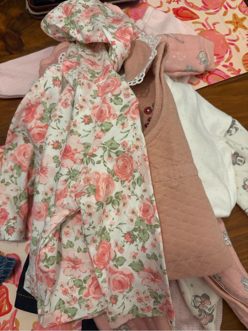 Baby girl 6 to 9 month bundle
